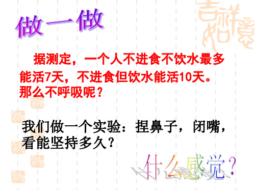 人教版七下生物 3.1呼吸道对空气的处理 课件(共18张PPT)