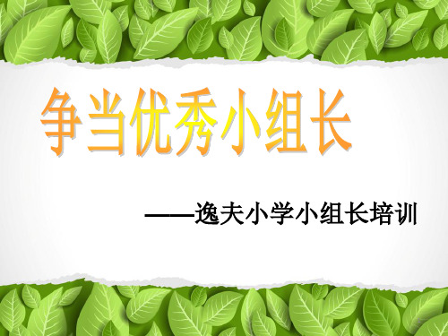小组长培训ppt课件