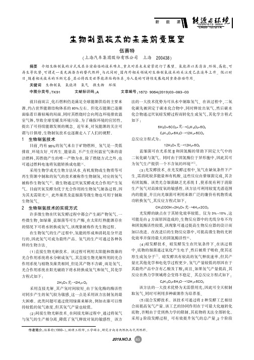 生物制氢技术的未来前景展望