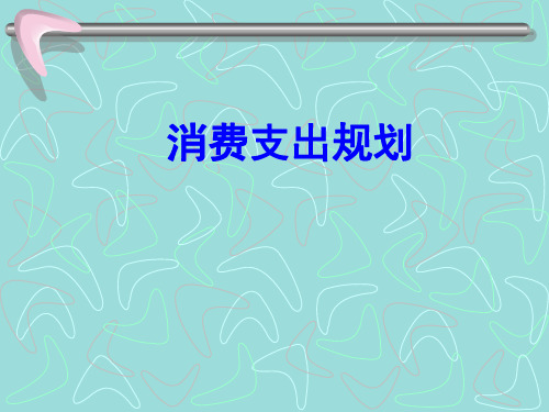 消费支出规划