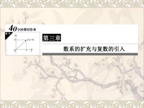 2017年高中数学第三章数系的扩充与复数的引入3.2复数代数形式的四则运算习题课件2新人教A版选修1_2