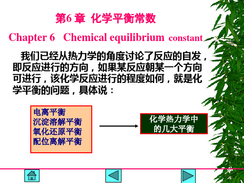 第6章化学平衡常数