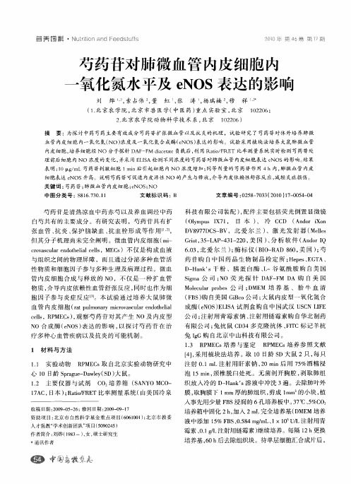 芍药苷对肺微血管内皮细胞内一氧化氮水平及eNOS表达的影响