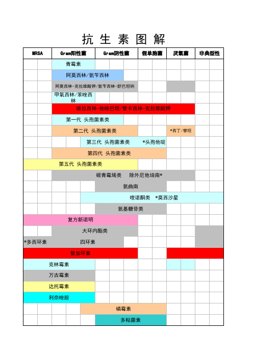 抗生素图解