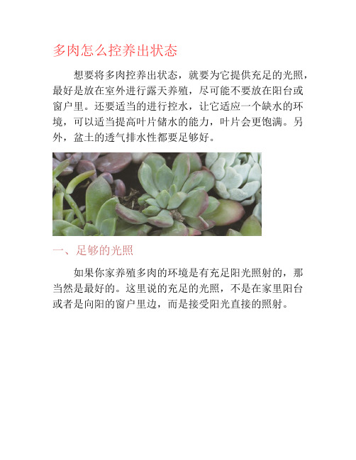 多肉怎么控养出状态-养花技巧