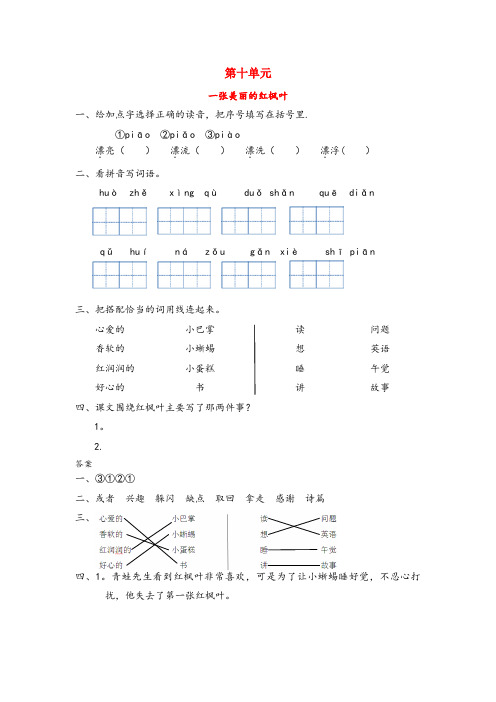 密云县二小三年级语文上册十书趣一张美丽的红枫叶同步训练长版