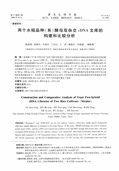 两个水稻品种(系)酵母双杂交cDNA文库的构建和比较分析