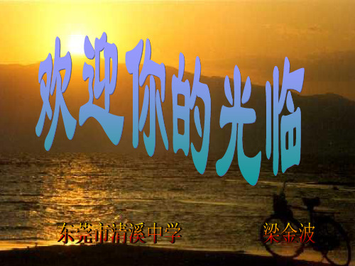 初中作文指导如何写出真情实感1优秀课件