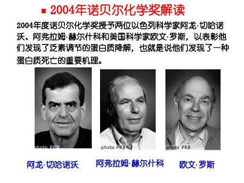 泛素介导的蛋白质降解.ppt