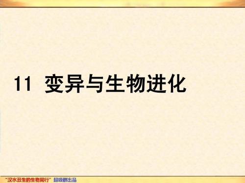 2013高考全国生物试题分专题汇编PPT版11 变异与生物进化