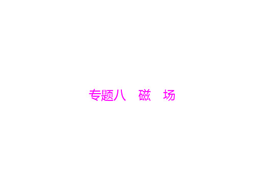 南方新高考高考物理一轮总复习 专题八 第1讲 磁场 磁