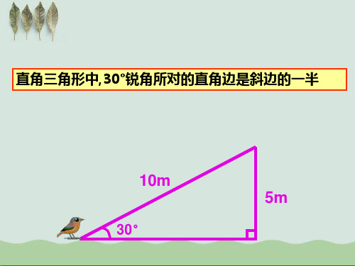 折叠中的直角三角形ppt课件