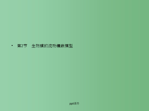 高中生物《第1-6章》《4.2生物膜的流动镶嵌模型》课件 新人教版必修1