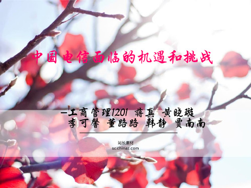 中国电信面临的机遇和挑战