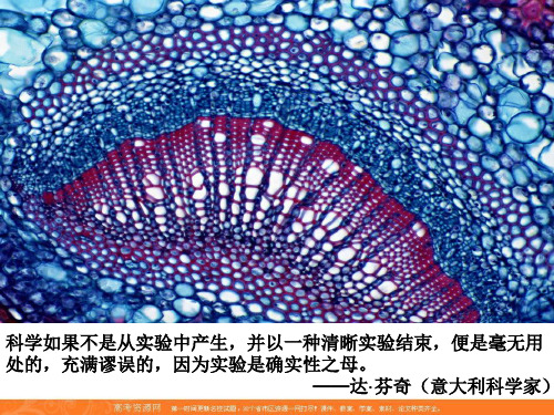 2016年秋学期人教版高一生物必修1课件：第一章 第2节 显微镜的使用