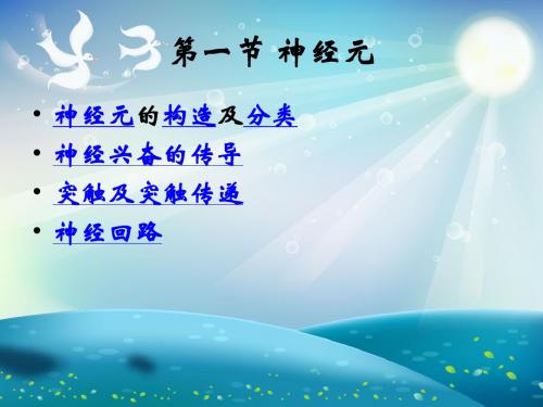 心理活动的神经神经生理基础课件