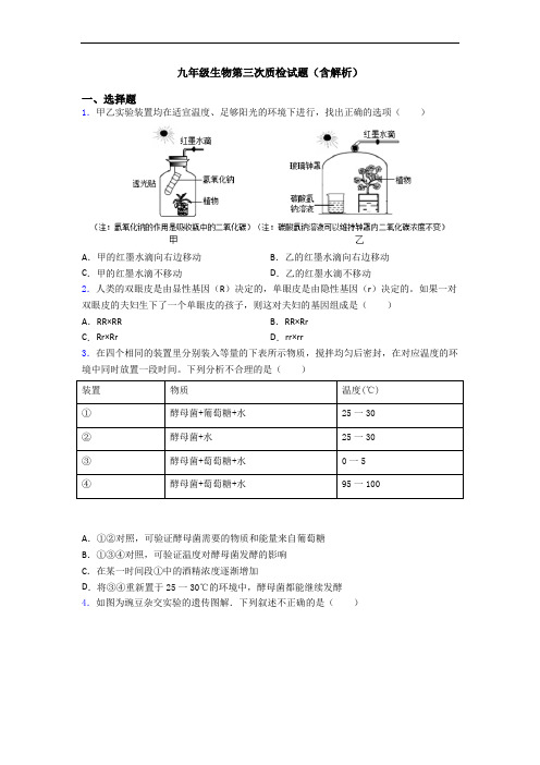 九年级生物第三次质检试题(含解析)