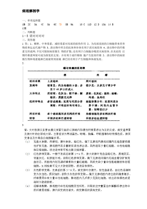 病理解剖学(升本)A