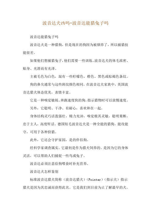波音达犬凶吗-波音达能猎兔子吗
