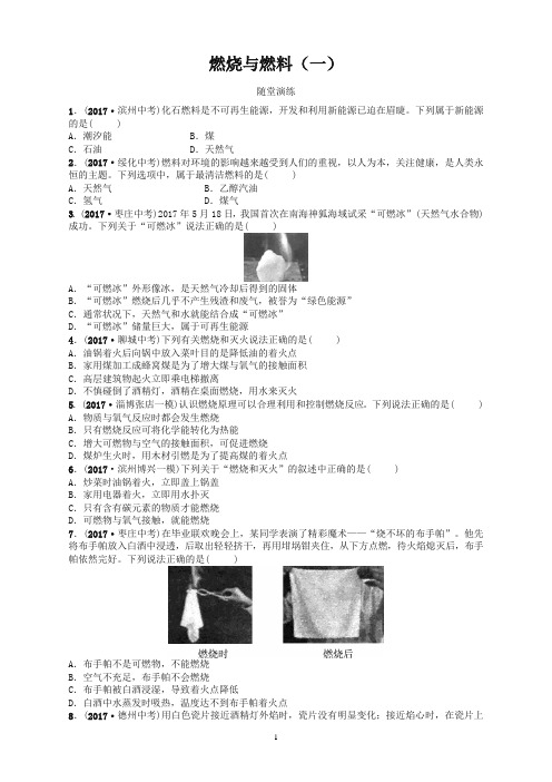 2018年中考化学复习第一部分八全第六单元燃烧与燃料一随堂演练鲁教版-精校.doc