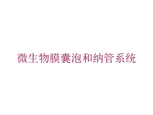 微生物膜囊泡和纳管系统培训课件