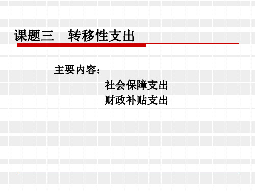 4转移性支出-PPT精品文档