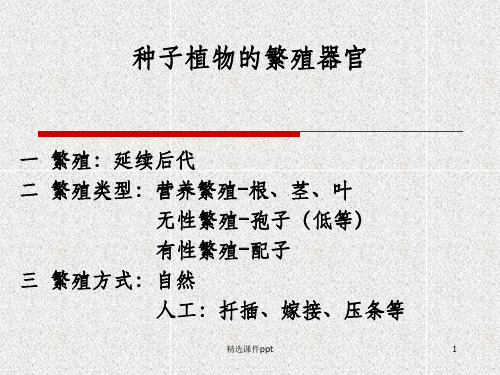【教学课件】第十一讲：植物繁殖器官-花