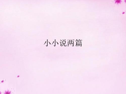 【最新精选】鄂教初中语文九上《12小小说两篇》PPT课件 (2).ppt