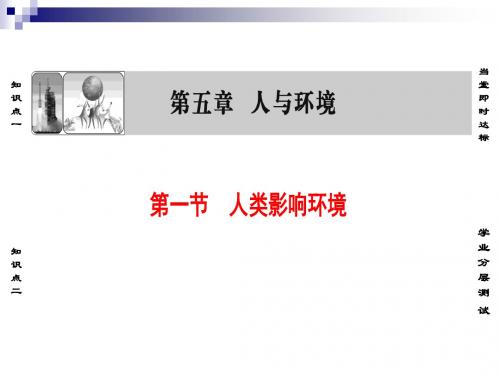 苏教版必修3 人类影响环境 课件(39张)