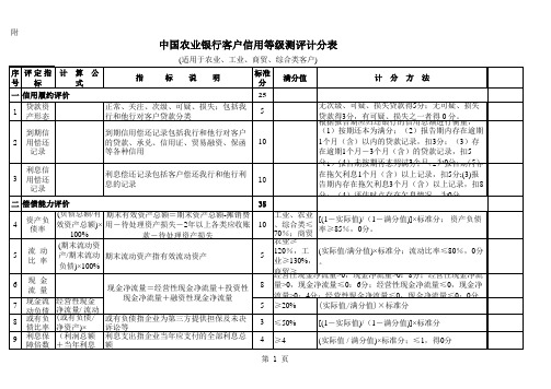 中国农业银行,客户信用等级,测评计分表