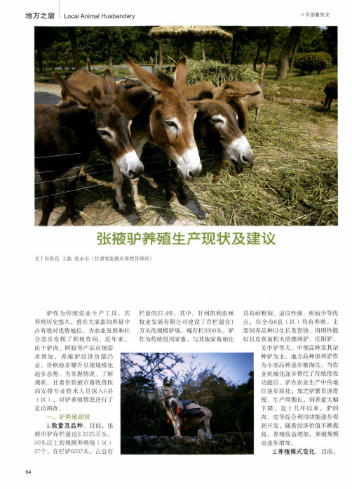 张掖驴养殖生产现状及建议