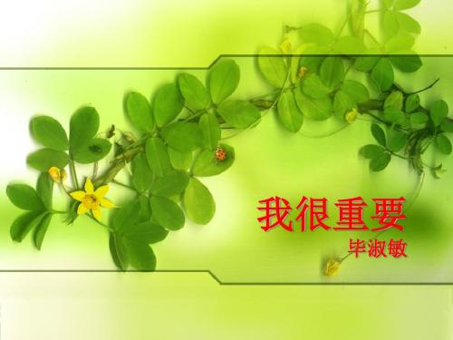 2017-2018学年粤教版必修一我很重要 课件 (18张)