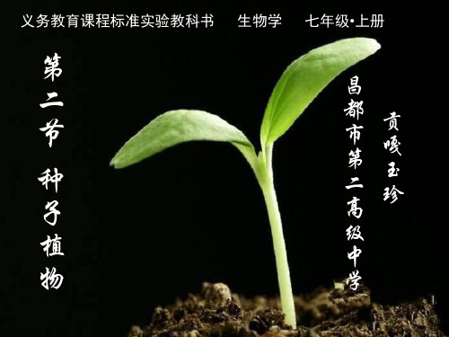 初中生物人教版七年级上册第二节 种子植物