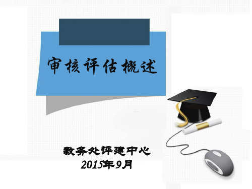 审核评估概述