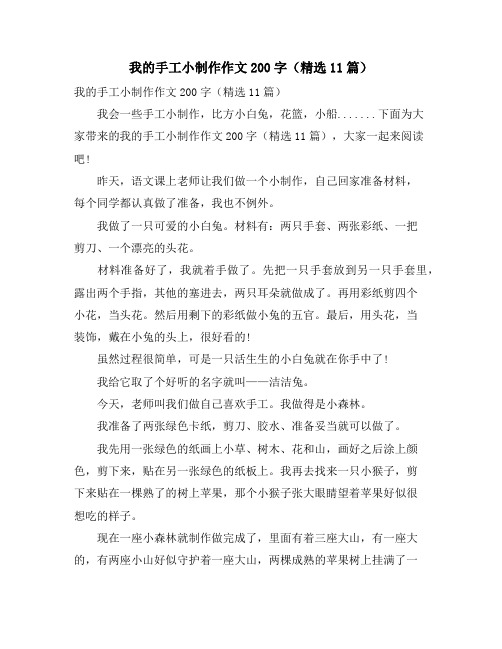 我的手工小制作作文200字(精选11篇)