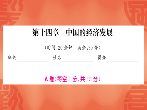 2020中考地理复习训练课件：第14章 中国的经济发展(共25张PPT)