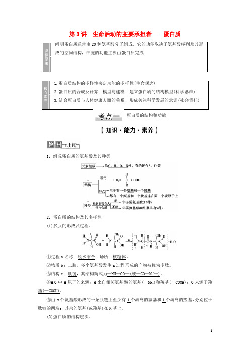2022版高考生物一轮复习第1单元细胞及其分子组成第3讲生命活动的主要承担者__蛋白质学案