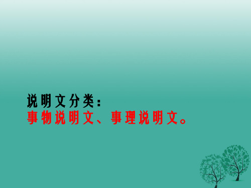 八年级语文上册 11《中国石拱桥》课件 新人教版1