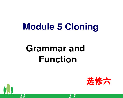 外研版高二英语上选修六 Module5 Grammar and  Function
