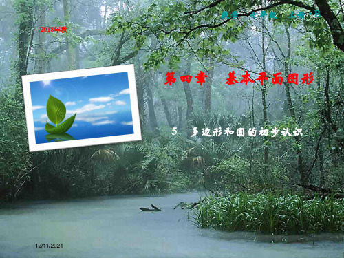 七年级数学上册 第4章 基本平面图形 5 多边形和圆的初步认识课件上册数学课件