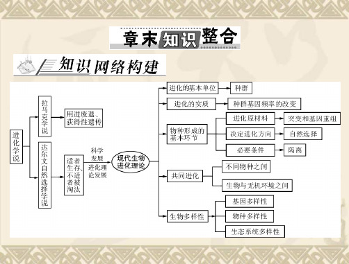 【南方新课堂】高考生物总复习 第7章 章末知识整合课件 新人教版必修2