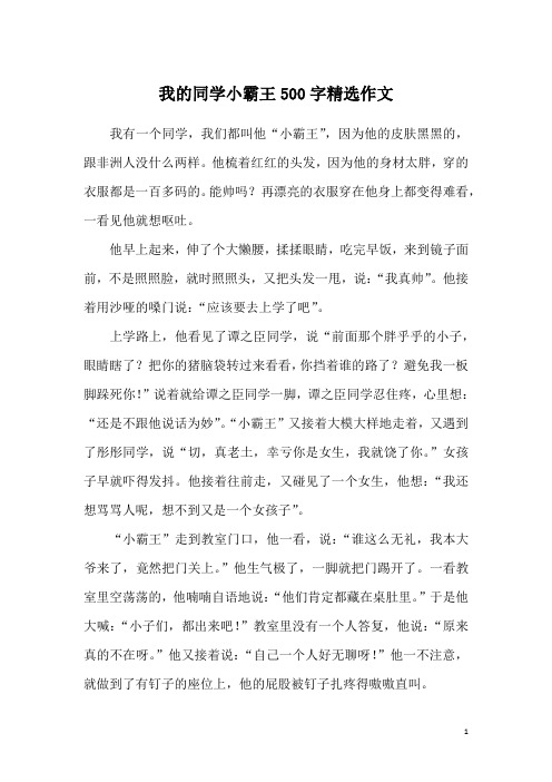 我的同学小霸王500字精选作文