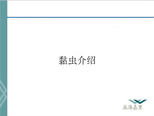 黏虫介绍