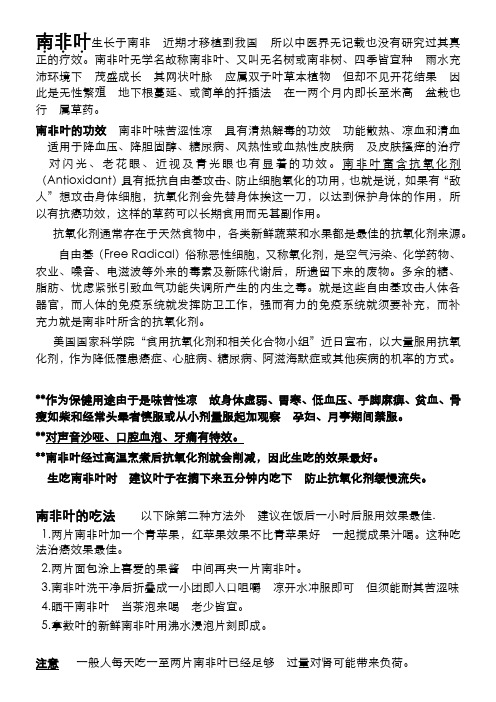 南非叶的功效及不适宜人群(有5种吃法)