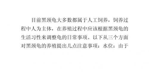 黑颈乌龟的养殖注意要点