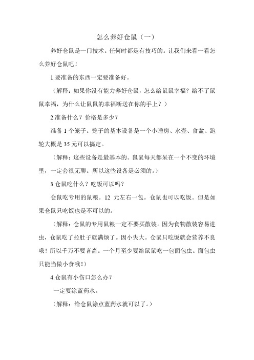 怎么养好仓鼠