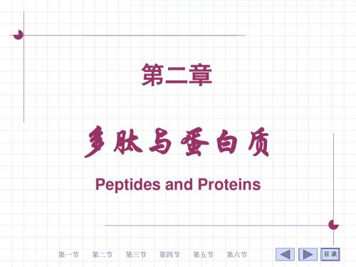 第02章多肽与蛋白质