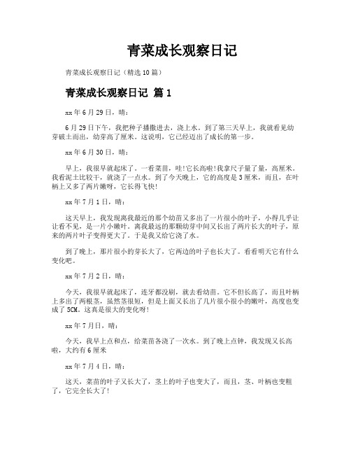 青菜成长观察日记