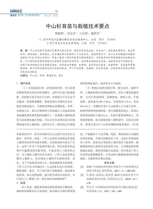 中山杉育苗与栽植技术要点