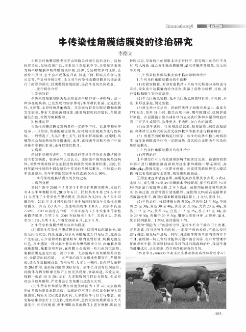 牛传染性角膜结膜炎的诊治研究